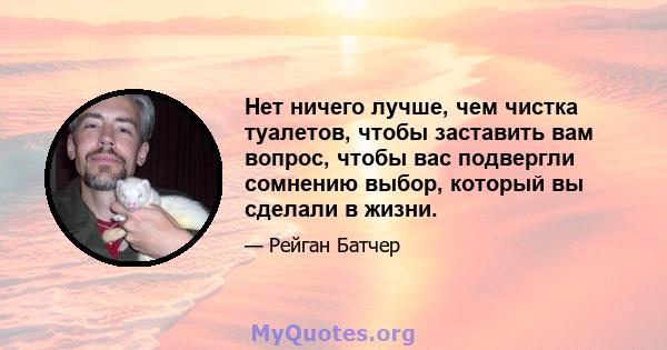 Нет ничего лучше, чем чистка туалетов, чтобы заставить вам вопрос, чтобы вас подвергли сомнению выбор, который вы сделали в жизни.