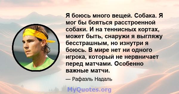 Я боюсь много вещей. Собака. Я мог бы бояться расстроенной собаки. И на теннисных кортах, может быть, снаружи я выгляжу бесстрашным, но изнутри я боюсь. В мире нет ни одного игрока, который не нервничает перед матчами.