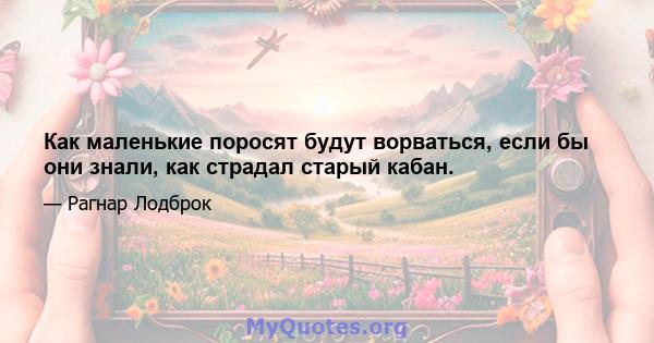 Как маленькие поросят будут ворваться, если бы они знали, как страдал старый кабан.