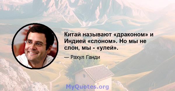 Китай называют «драконом» и Индией «слоном». Но мы не слон, мы - «улей».