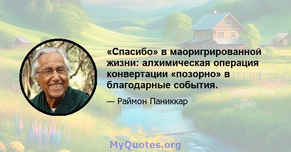 «Спасибо» в маоригрированной жизни: алхимическая операция конвертации «позорно» в благодарные события.