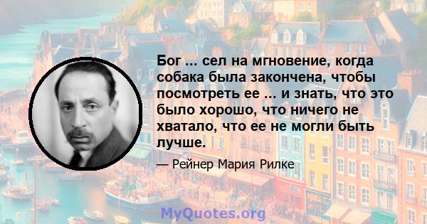 Бог ... сел на мгновение, когда собака была закончена, чтобы посмотреть ее ... и знать, что это было хорошо, что ничего не хватало, что ее не могли быть лучше.