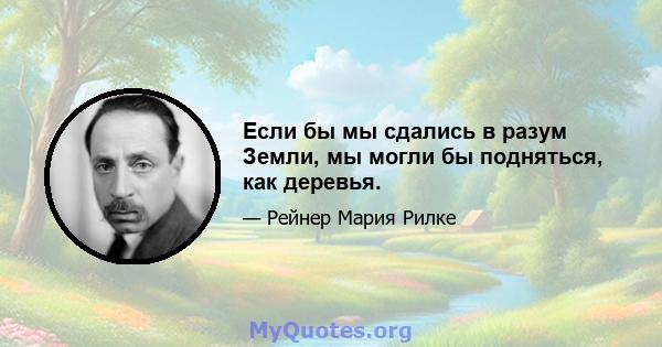 Если бы мы сдались в разум Земли, мы могли бы подняться, как деревья.