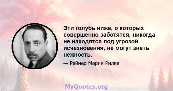 Эти голубь ниже, о которых совершенно заботятся, никогда не находятся под угрозой исчезновения, не могут знать нежность.