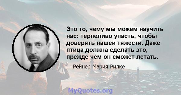 Это то, чему мы можем научить нас: терпеливо упасть, чтобы доверять нашей тяжести. Даже птица должна сделать это, прежде чем он сможет летать.