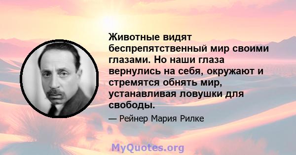 Животные видят беспрепятственный мир своими глазами. Но наши глаза вернулись на себя, окружают и стремятся обнять мир, устанавливая ловушки для свободы.