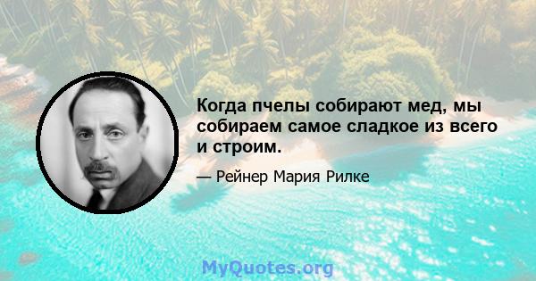 Когда пчелы собирают мед, мы собираем самое сладкое из всего и строим.