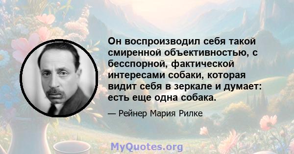 Он воспроизводил себя такой смиренной объективностью, с бесспорной, фактической интересами собаки, которая видит себя в зеркале и думает: есть еще одна собака.