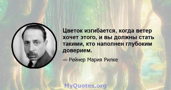 Цветок изгибается, когда ветер хочет этого, и вы должны стать такими, кто наполнен глубоким доверием.