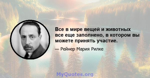 Все в мире вещей и животных все еще заполнено, в котором вы можете принять участие.