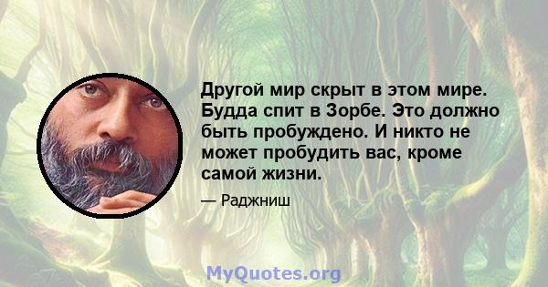 Другой мир скрыт в этом мире. Будда спит в Зорбе. Это должно быть пробуждено. И никто не может пробудить вас, кроме самой жизни.