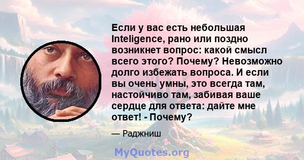 Если у вас есть небольшая Inteligence, рано или поздно возникнет вопрос: какой смысл всего этого? Почему? Невозможно долго избежать вопроса. И если вы очень умны, это всегда там, настойчиво там, забивая ваше сердце для