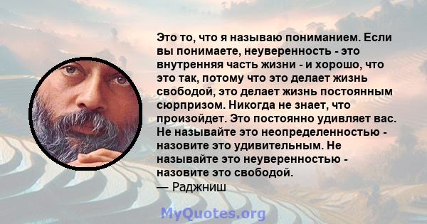 Это то, что я называю пониманием. Если вы понимаете, неуверенность - это внутренняя часть жизни - и хорошо, что это так, потому что это делает жизнь свободой, это делает жизнь постоянным сюрпризом. Никогда не знает, что 