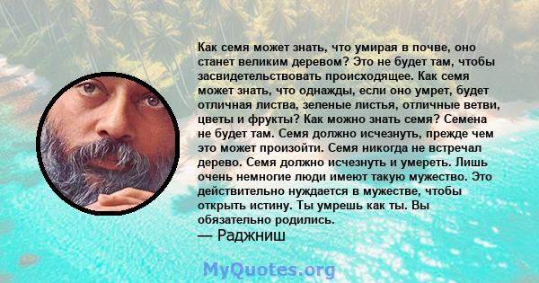 Как семя может знать, что умирая в почве, оно станет великим деревом? Это не будет там, чтобы засвидетельствовать происходящее. Как семя может знать, что однажды, если оно умрет, будет отличная листва, зеленые листья,