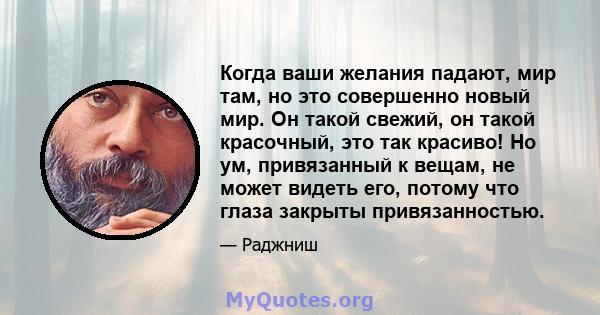 Когда ваши желания падают, мир там, но это совершенно новый мир. Он такой свежий, он такой красочный, это так красиво! Но ум, привязанный к вещам, не может видеть его, потому что глаза закрыты привязанностью.