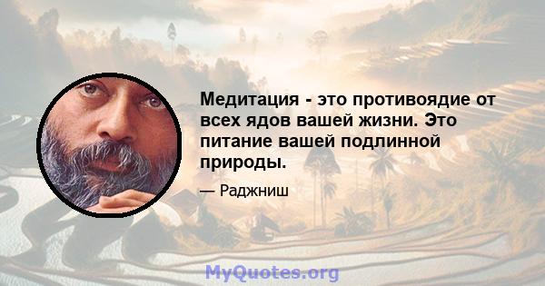 Медитация - это противоядие от всех ядов вашей жизни. Это питание вашей подлинной природы.