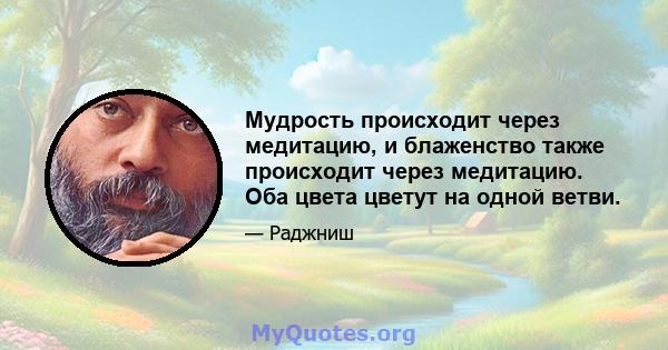 Мудрость происходит через медитацию, и блаженство также происходит через медитацию. Оба цвета цветут на одной ветви.