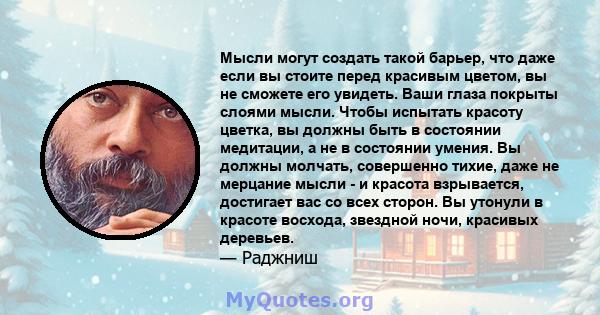 Мысли могут создать такой барьер, что даже если вы стоите перед красивым цветом, вы не сможете его увидеть. Ваши глаза покрыты слоями мысли. Чтобы испытать красоту цветка, вы должны быть в состоянии медитации, а не в