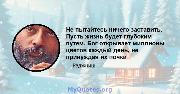 Не пытайтесь ничего заставить. Пусть жизнь будет глубоким путем. Бог открывает миллионы цветов каждый день, не принуждая их почки