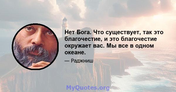 Нет Бога. Что существует, так это благочестие, и это благочестие окружает вас. Мы все в одном океане.