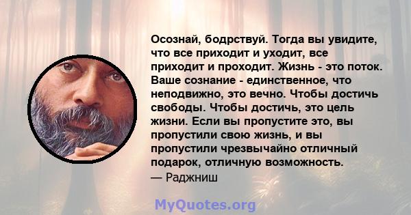 Осознай, бодрствуй. Тогда вы увидите, что все приходит и уходит, все приходит и проходит. Жизнь - это поток. Ваше сознание - единственное, что неподвижно, это вечно. Чтобы достичь свободы. Чтобы достичь, это цель жизни. 