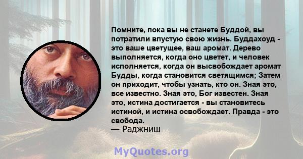 Помните, пока вы не станете Буддой, вы потратили впустую свою жизнь. Буддахоуд - это ваше цветущее, ваш аромат. Дерево выполняется, когда оно цветет, и человек исполняется, когда он высвобождает аромат Будды, когда