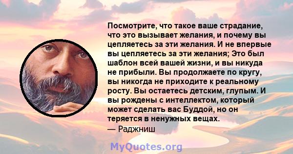 Посмотрите, что такое ваше страдание, что это вызывает желания, и почему вы цепляетесь за эти желания. И не впервые вы цепляетесь за эти желания; Это был шаблон всей вашей жизни, и вы никуда не прибыли. Вы продолжаете