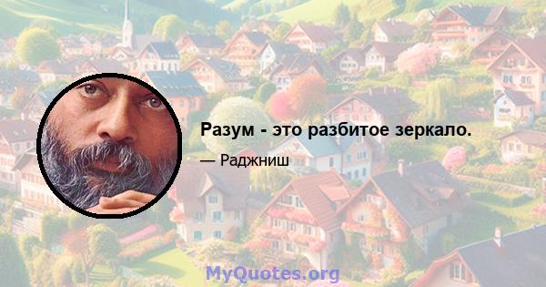 Разум - это разбитое зеркало.