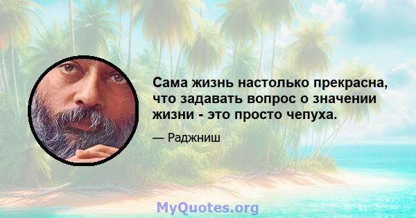 Сама жизнь настолько прекрасна, что задавать вопрос о значении жизни - это просто чепуха.