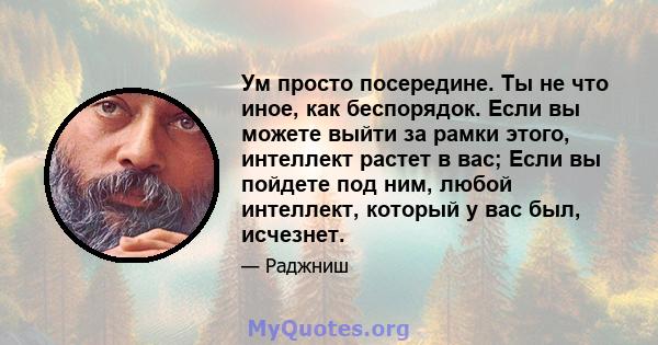 Ум просто посередине. Ты не что иное, как беспорядок. Если вы можете выйти за рамки этого, интеллект растет в вас; Если вы пойдете под ним, любой интеллект, который у вас был, исчезнет.