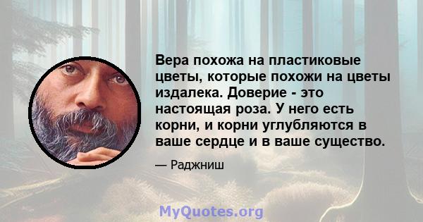 Вера похожа на пластиковые цветы, которые похожи на цветы издалека. Доверие - это настоящая роза. У него есть корни, и корни углубляются в ваше сердце и в ваше существо.