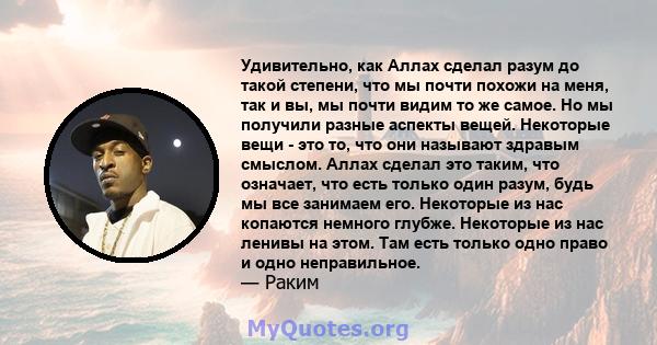 Удивительно, как Аллах сделал разум до такой степени, что мы почти похожи на меня, так и вы, мы почти видим то же самое. Но мы получили разные аспекты вещей. Некоторые вещи - это то, что они называют здравым смыслом.