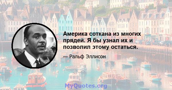 Америка соткана из многих прядей. Я бы узнал их и позволил этому остаться.