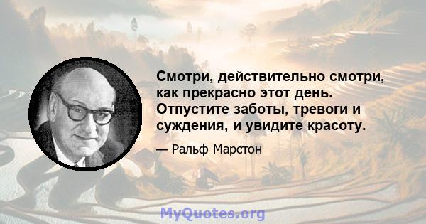 Смотри, действительно смотри, как прекрасно этот день. Отпустите заботы, тревоги и суждения, и увидите красоту.