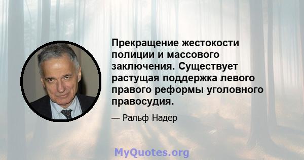 Прекращение жестокости полиции и массового заключения. Существует растущая поддержка левого правого реформы уголовного правосудия.