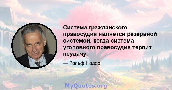 Система гражданского правосудия является резервной системой, когда система уголовного правосудия терпит неудачу.