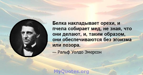 Белка накладывает орехи, и пчела собирает мед, не зная, что они делают, и, таким образом, они обеспечиваются без эгоизма или позора.