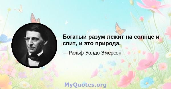 Богатый разум лежит на солнце и спит, и это природа.