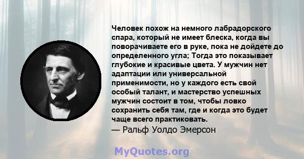 Человек похож на немного лабрадорского спара, который не имеет блеска, когда вы поворачиваете его в руке, пока не дойдете до определенного угла; Тогда это показывает глубокие и красивые цвета. У мужчин нет адаптации или 