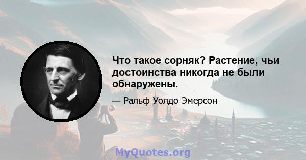 Что такое сорняк? Растение, чьи достоинства никогда не были обнаружены.