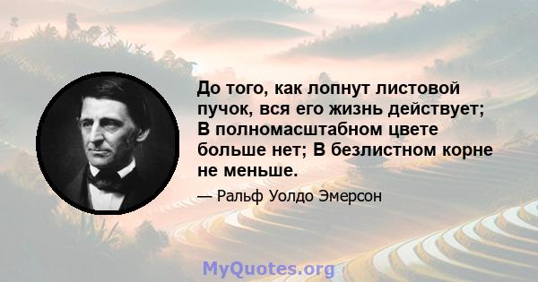 До того, как лопнут листовой пучок, вся его жизнь действует; В полномасштабном цвете больше нет; В безлистном корне не меньше.