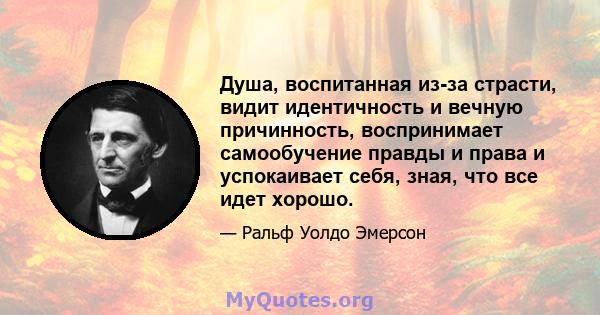 Душа, воспитанная из-за страсти, видит идентичность и вечную причинность, воспринимает самообучение правды и права и успокаивает себя, зная, что все идет хорошо.