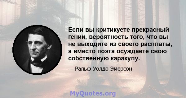 Если вы критикуете прекрасный гений, вероятность того, что вы не выходите из своего расплаты, а вместо поэта осуждаете свою собственную каракулу.