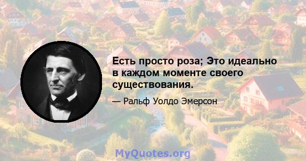 Есть просто роза; Это идеально в каждом моменте своего существования.