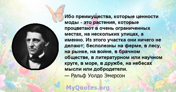 Ибо преимущества, которые ценности моды - это растения, которые процветают в очень ограниченных местах, на нескольких улицах, а именно. Из этого участка они ничего не делают; бесполезны на ферме, в лесу, на рынке, на