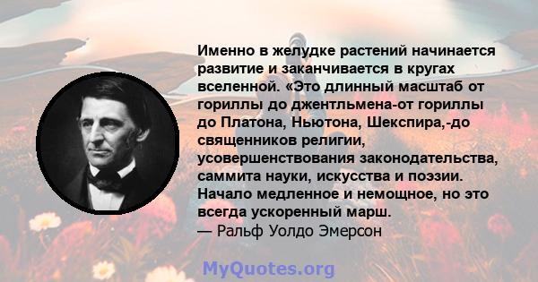 Именно в желудке растений начинается развитие и заканчивается в кругах вселенной. «Это длинный масштаб от гориллы до джентльмена-от гориллы до Платона, Ньютона, Шекспира,-до священников религии, усовершенствования