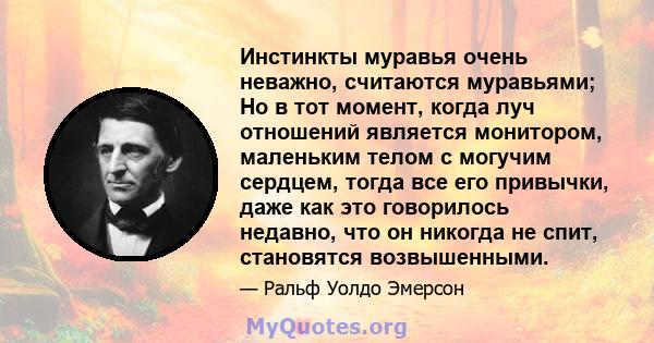 Инстинкты муравья очень неважно, считаются муравьями; Но в тот момент, когда луч отношений является монитором, маленьким телом с могучим сердцем, тогда все его привычки, даже как это говорилось недавно, что он никогда