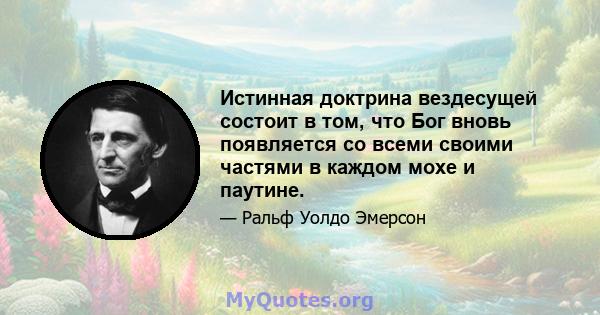 Истинная доктрина вездесущей состоит в том, что Бог вновь появляется со всеми своими частями в каждом мохе и паутине.