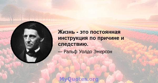 Жизнь - это постоянная инструкция по причине и следствию.