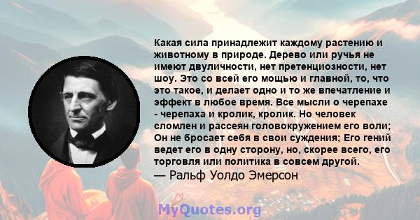 Какая сила принадлежит каждому растению и животному в природе. Дерево или ручья не имеют двуличности, нет претенциозности, нет шоу. Это со всей его мощью и главной, то, что это такое, и делает одно и то же впечатление и 